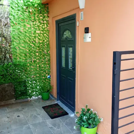 Oasis In Near Bus Station