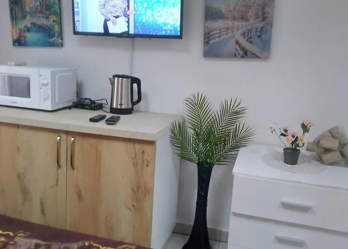 Oasis In Near Bus Station 公寓 地拉那