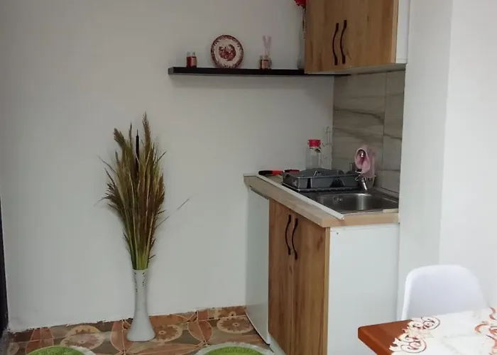 公寓 Oasis In Near Bus Station 地拉那