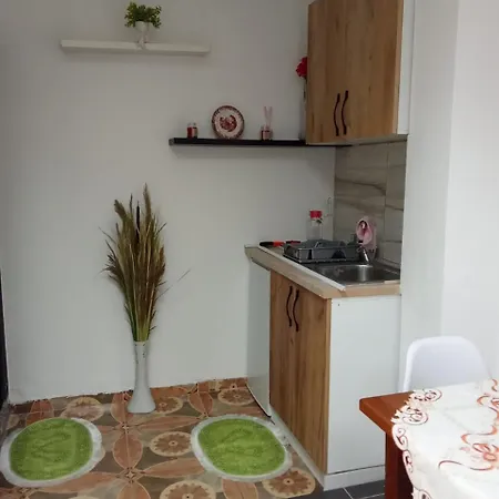 Apartment Oasis In Near Bus Station Tirana