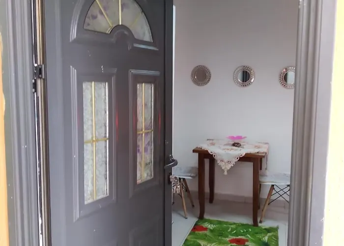 Oasis In Near Bus Station 地拉那