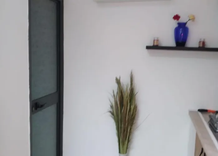 Oasis In Near Bus Station * 地拉那